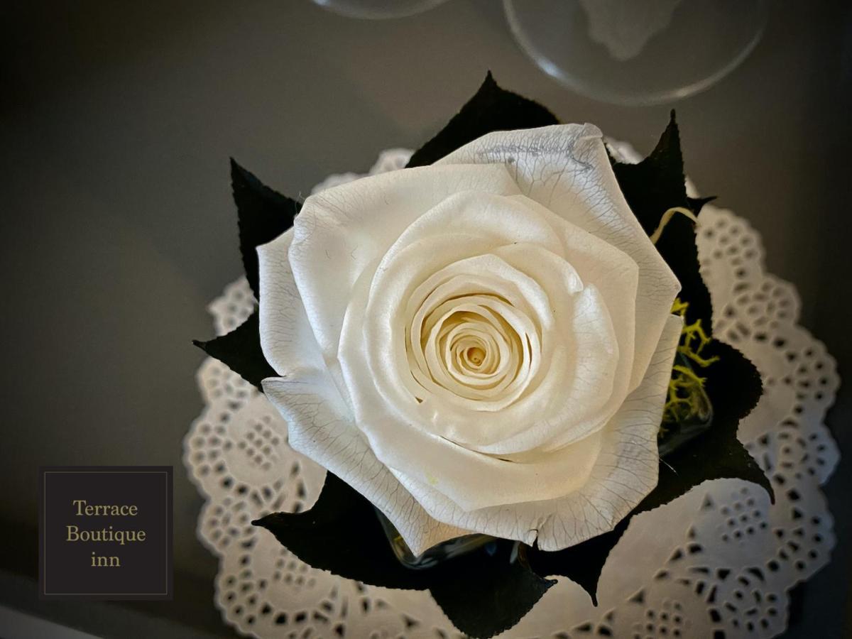 Terrace Boutique Inn Rome Bagian luar foto